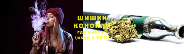винт Магас